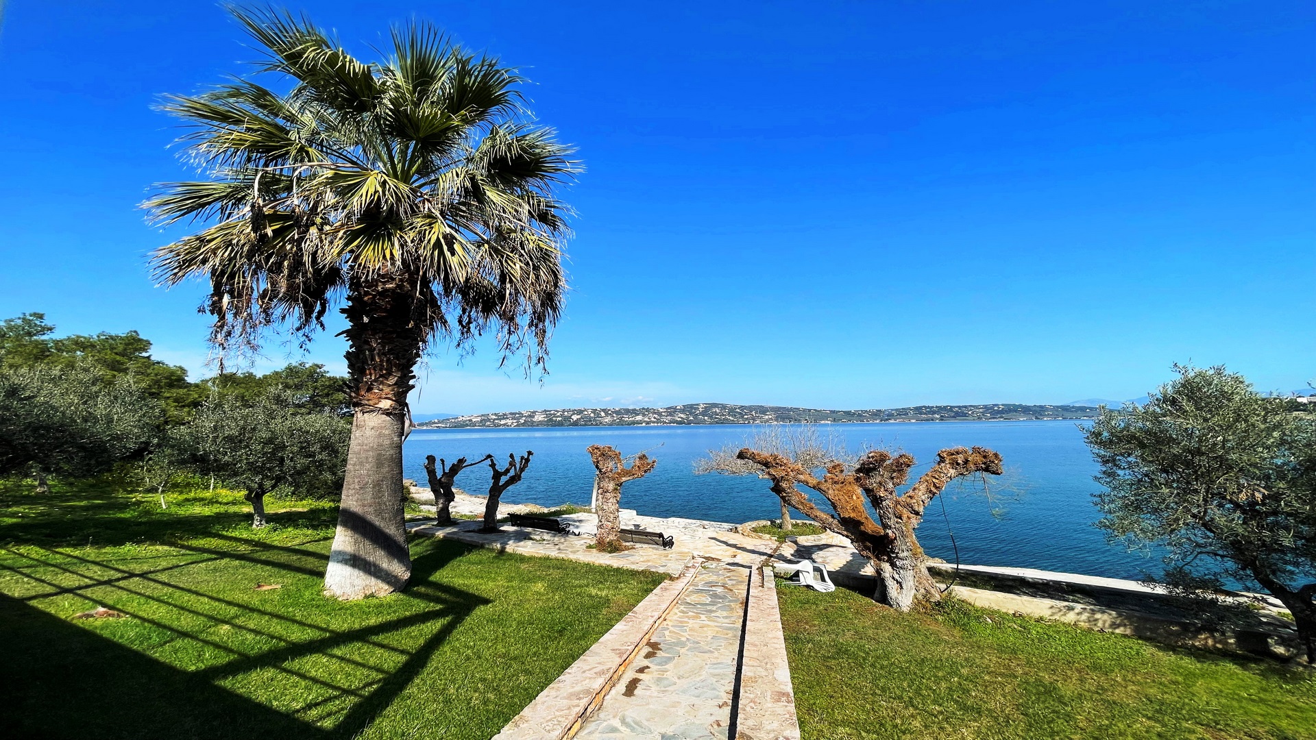 19 (Αντιγραφή)